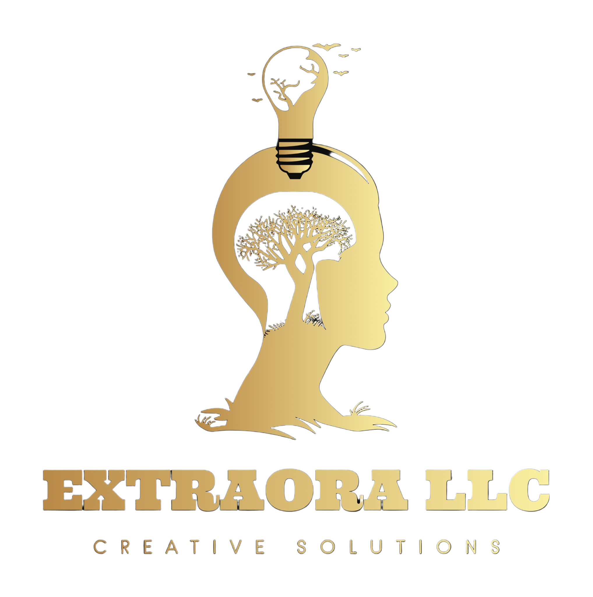 Extraora LLC Logo